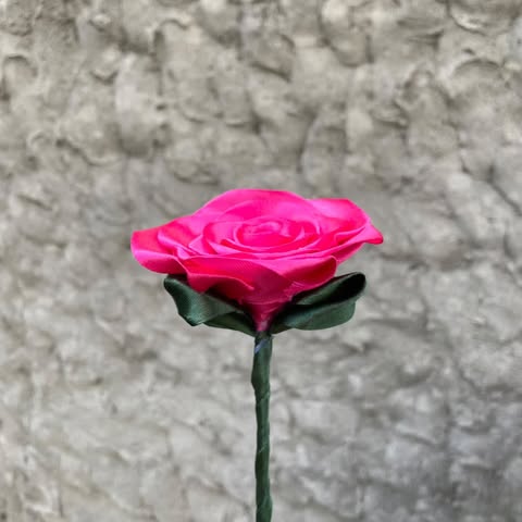 Rose individuelle